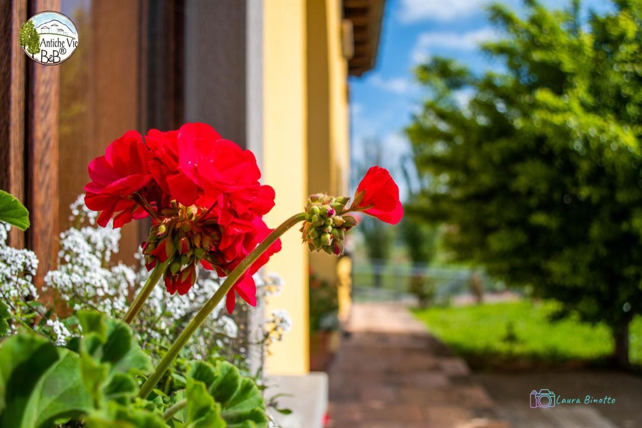 Antiche Vie B&B Serramazzoni Exterior foto